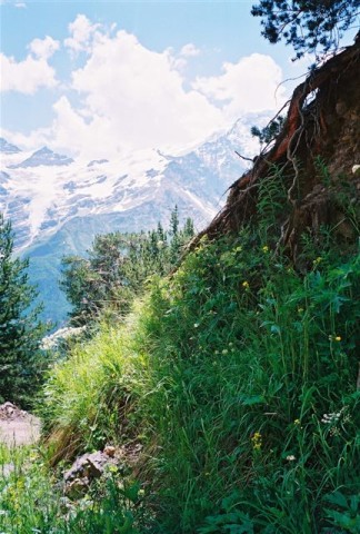 Elbruse rahvuspark